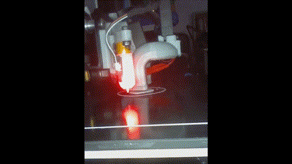 3D Printer Time Lapse of Hand